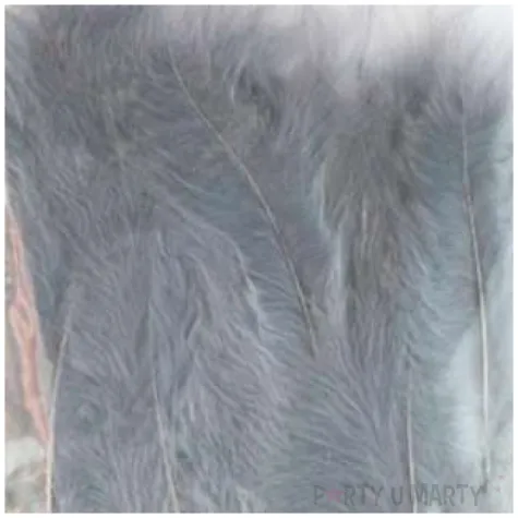 piorka dekoracyjne classic szare aliga 10 12 cm 50 szt