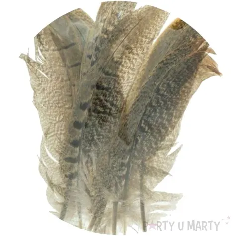 piorka dekoracyjne classic szaro brazowe aliga 10 15 cm 8 szt