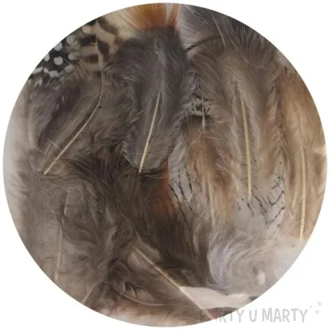 piorka dekoracyjne classic szaro brazowe aliga 3 8 cm 24 szt