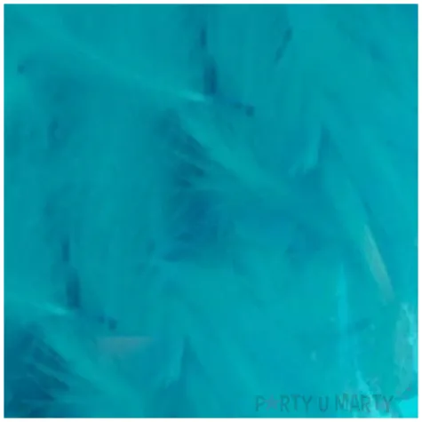 piorka dekoracyjne classic turkusowe titanum 16 g