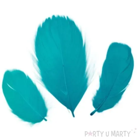 piorka dekoracyjne classic turkusowe titanum 16 g