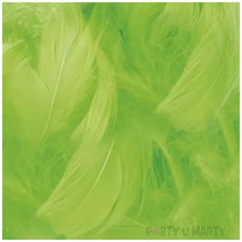 piorka dekoracyjne classic zielone jabluszko titanum 16 g