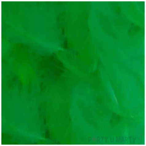 piorka dekoracyjne classic zielone titanum 16 g