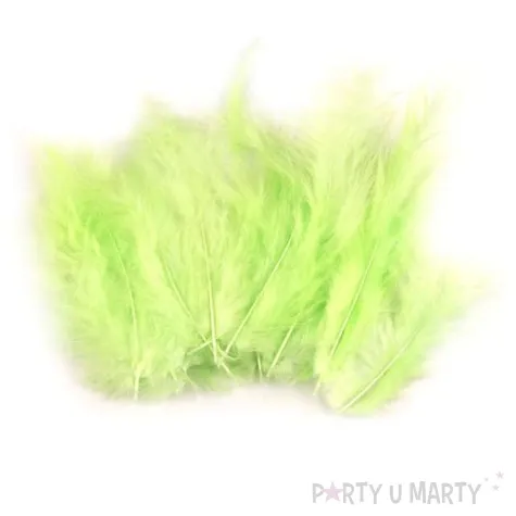 piorka dekoracyjne classic zielony pastelowy stoklasa 9 16 cm 20 szt