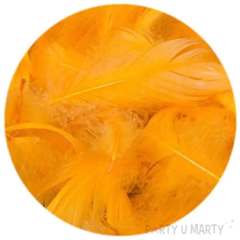 piorka dekoracyjne classic zolty cieply dekolo 10g