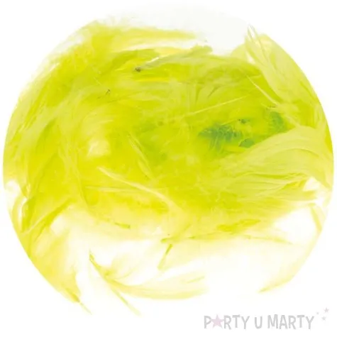 piorka dekoracyjne classic zolty kanarkowy brewis 1 9 cm 250 szt