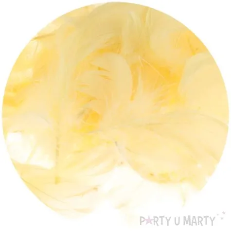 piorka dekoracyjne classic zolty zonkilowy brewis 1 9 cm 250 szt