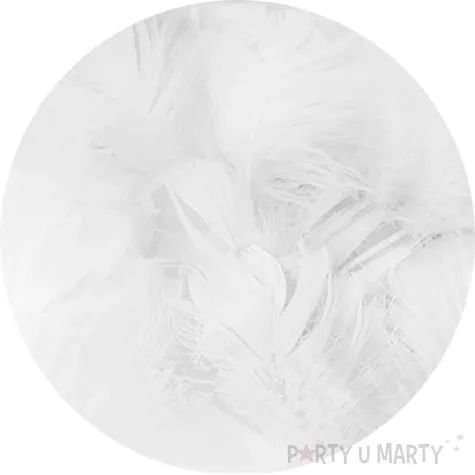 piorka dekoracyjne dlugie biale partypal 10 15 cm 50 szt