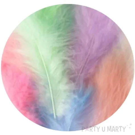 piorka dekoracyjne dlugie kolorowe partypal 10 15 cm 50 szt