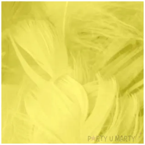 piorka dekoracyjne dlugie zolte partypal 10 15 cm 50 szt