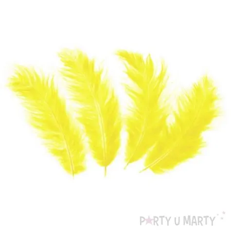 piorka dekoracyjne dlugie zolte partypal 10 15 cm 50 szt