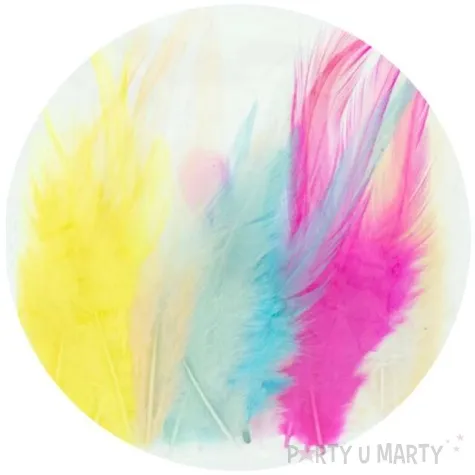 piorka dekoracyjne ekspresywne mix aliga 8 12 cm 40 szt