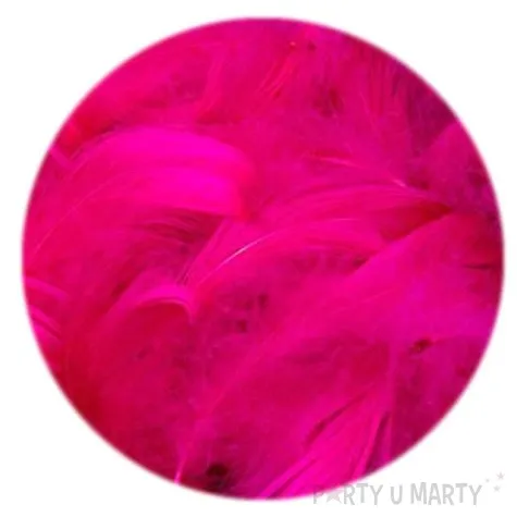 piorka dekoracyjne fuksja czakos 10 g