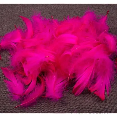 piorka dekoracyjne fuksja czakos 10 g