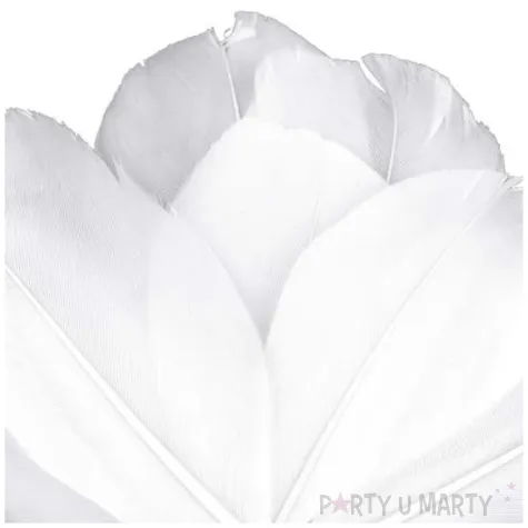 piorka dekoracyjne gesie bialy stoklasa 5 5 7 cm 10 szt