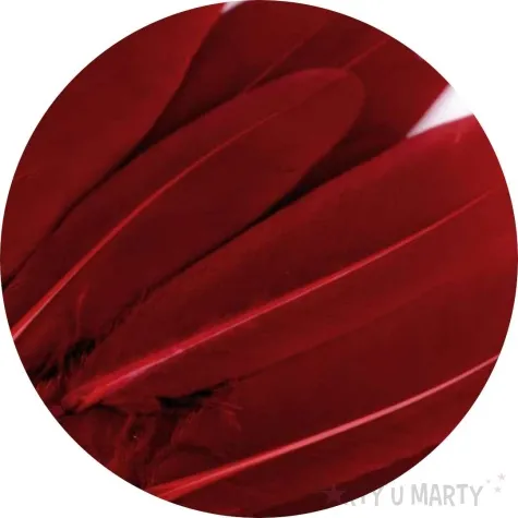 piorka dekoracyjne gesie czerwony ciemny stoklasa 9 14 cm 20 szt