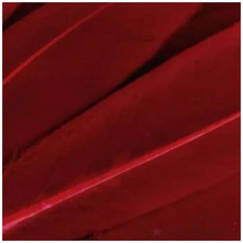 piorka dekoracyjne gesie czerwony ciemny stoklasa 9 14 cm 20 szt