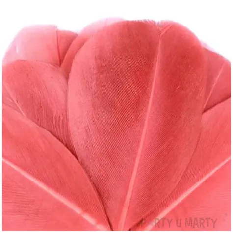 piorka dekoracyjne gesie koralowe jasne stoklasa 5 5 7 cm 10 szt