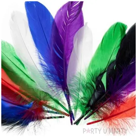 piorka dekoracyjne gesie mix brewis 15 20 cm 12 szt