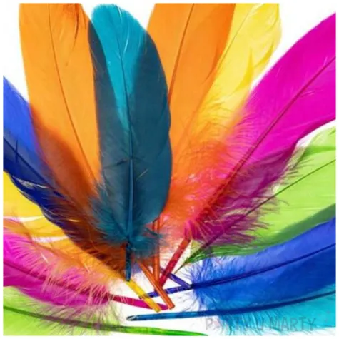 piorka dekoracyjne gesie neonowy mix brewis 15 20 cm 12 szt