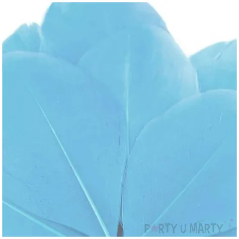 piorka dekoracyjne gesie niebieski jasny stoklasa 5 5 7 cm 10 szt