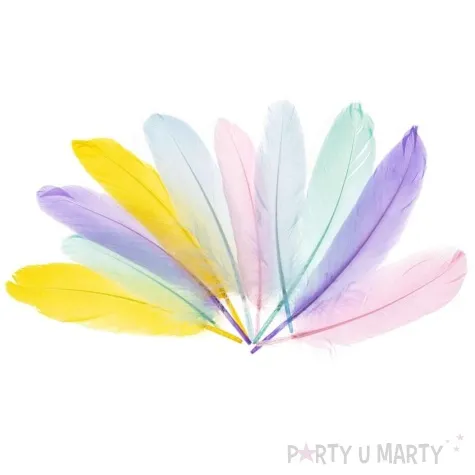 piorka dekoracyjne gesie pastelowy mix brewis 15 20 cm 10 szt