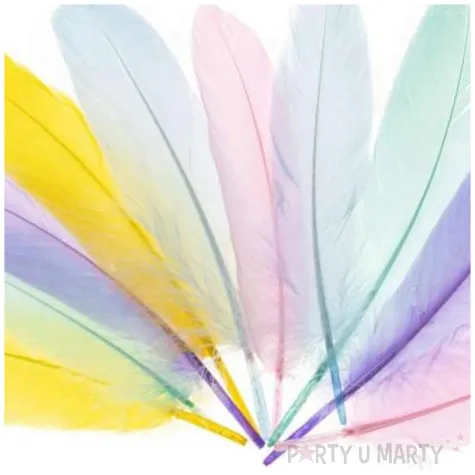 piorka dekoracyjne gesie pastelowy mix brewis 15 20 cm 10 szt