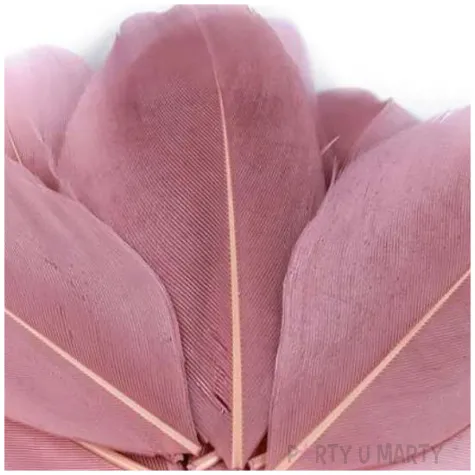 piorka dekoracyjne gesie rozowy ciemny stoklasa 5 5 7 cm 10 szt