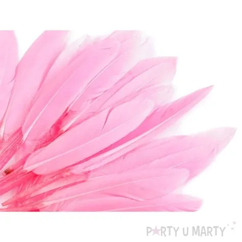 piorka dekoracyjne gesie rozowy jasny stoklasa 9 14 cm 20 szt