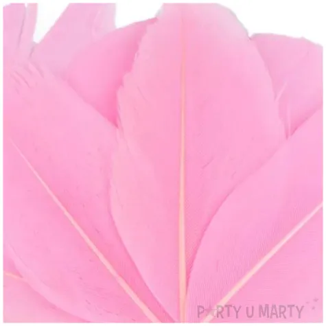 piorka dekoracyjne gesie rozowy stoklasa 5 5 7 cm 10 szt