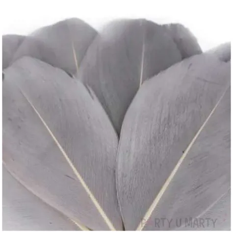 piorka dekoracyjne gesie szary jasny stoklasa 5 5 7 cm 10 szt