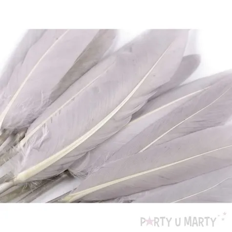 piorka dekoracyjne gesie szary stoklasa 9 14 cm 20 szt