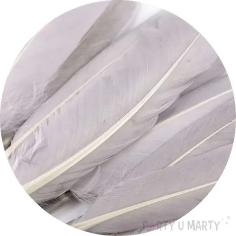 piorka dekoracyjne gesie szary stoklasa 9 14 cm 20 szt