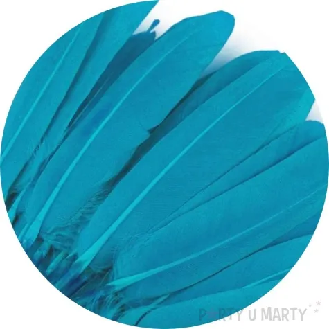 piorka dekoracyjne gesie turkusowy niebieski stoklasa 9 14 cm 20 szt