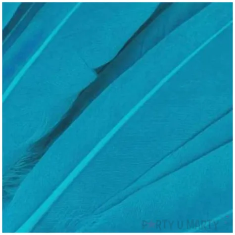 piorka dekoracyjne gesie turkusowy niebieski stoklasa 9 14 cm 20 szt