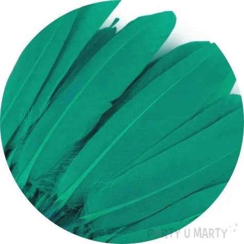 piorka dekoracyjne gesie turkusowy zielony stoklasa 9 14 cm 20 szt