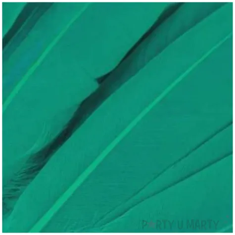 piorka dekoracyjne gesie turkusowy zielony stoklasa 9 14 cm 20 szt