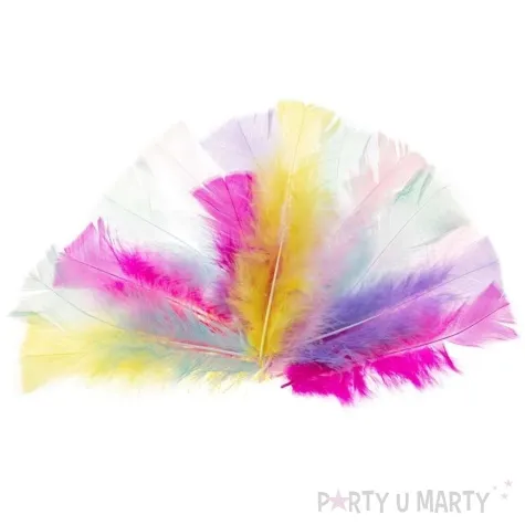 piorka dekoracyjne indycze sciete pastelowy mix brewis 10 15 cm 12 szt