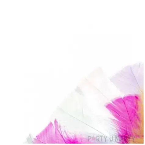 piorka dekoracyjne indycze sciete pastelowy mix brewis 10 15 cm 12 szt