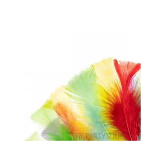 piorka dekoracyjne indycze sciete pastelowy mix brewis 10 15 cm 24 szt