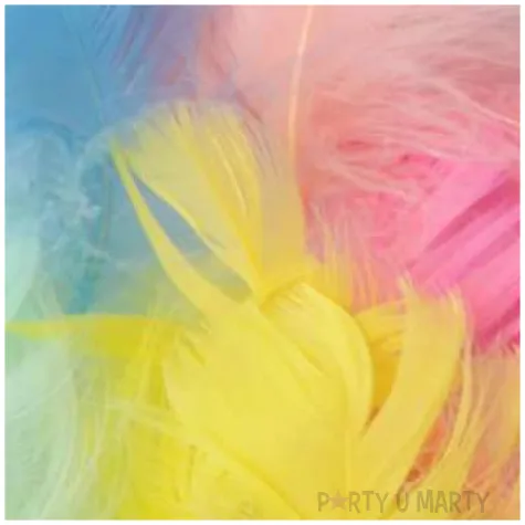 piorka dekoracyjne krotkie mix partypal 5 8 cm 50 szt