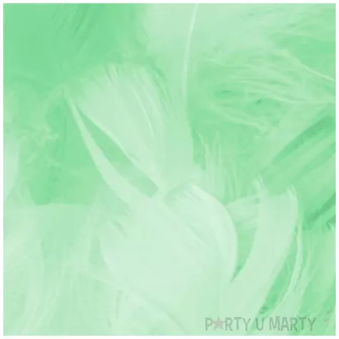 piorka dekoracyjne krotkie zielone partypal 5 8 cm 50 szt