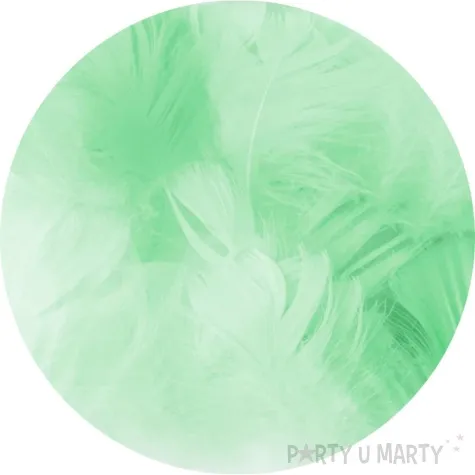 piorka dekoracyjne krotkie zielone partypal 5 8 cm 50 szt