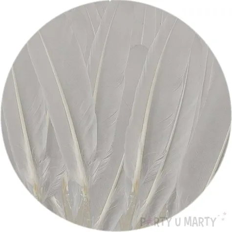 piorka dekoracyjne lotki biale titanum 50 szt