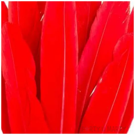 piorka dekoracyjne lotki czerwone czakos 18 szt