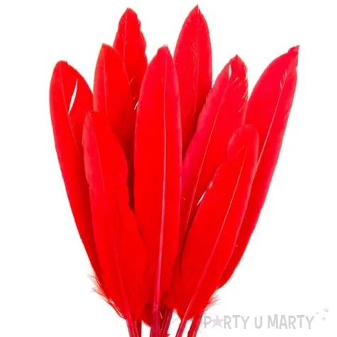 piorka dekoracyjne lotki czerwone czakos 18 szt