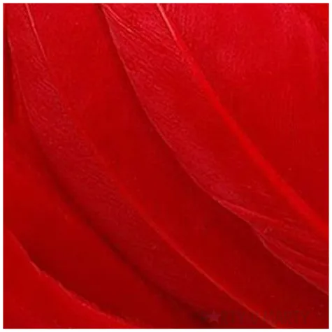 piorka dekoracyjne lotki czerwone titanum 16 g