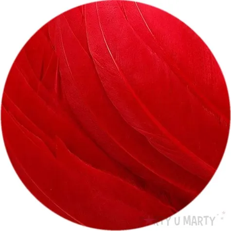 piorka dekoracyjne lotki czerwone titanum 16 g