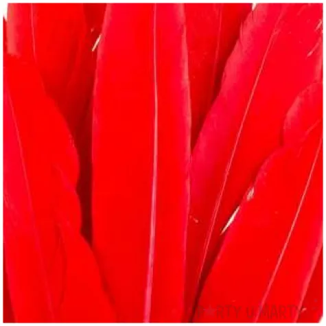 piorka dekoracyjne lotki krotkie czerwone czakos 18 szt