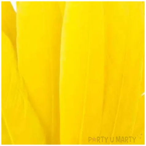 piorka dekoracyjne lotki krotkie zolte czakos 18 szt